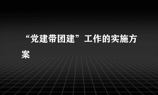 “党建带团建”工作的实施方案