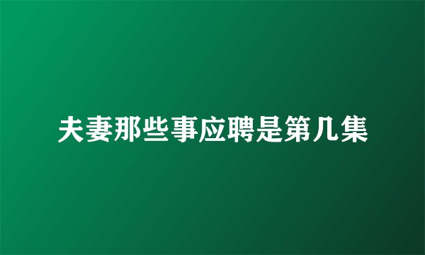 夫妻那些事应聘是第几集