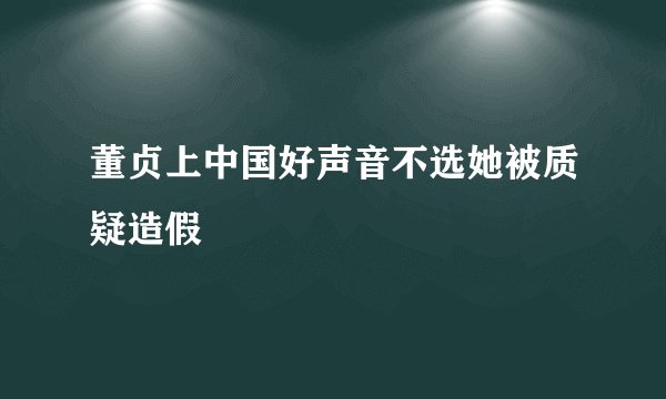 董贞上中国好声音不选她被质疑造假