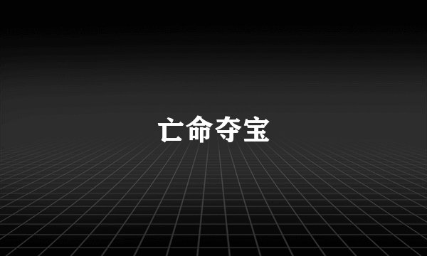 亡命夺宝