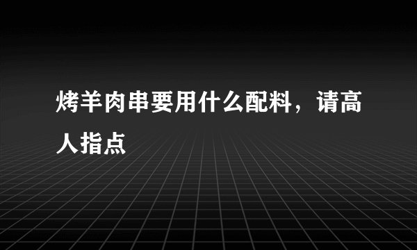 烤羊肉串要用什么配料，请高人指点