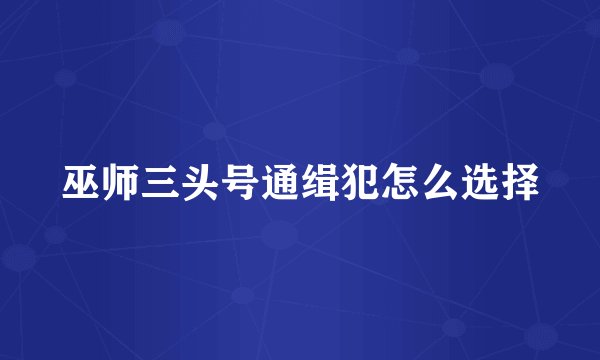 巫师三头号通缉犯怎么选择