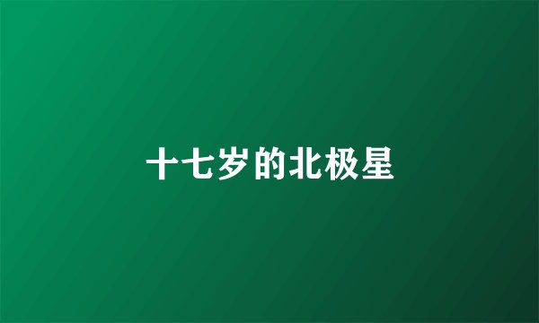 十七岁的北极星