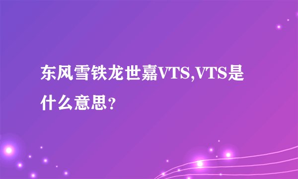 东风雪铁龙世嘉VTS,VTS是什么意思？