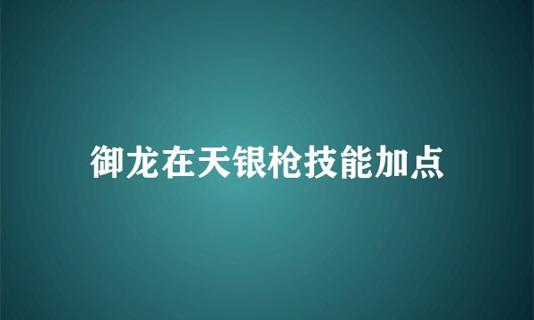 御龙在天银枪技能加点