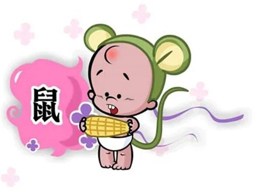 属鼠人的婚姻与属命运 属鼠人与属不同属相的婚姻状况