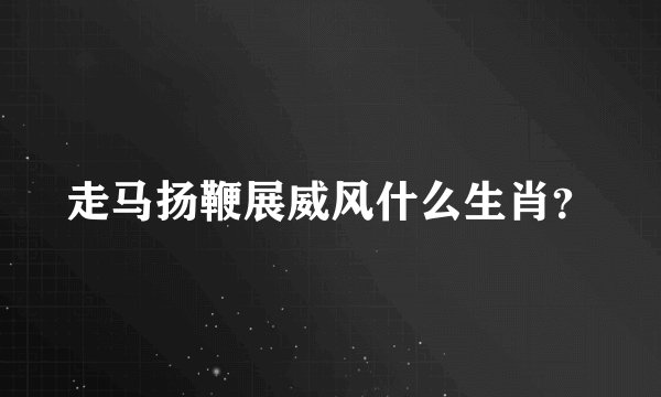 走马扬鞭展威风什么生肖？