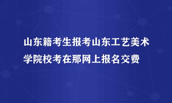 山东籍考生报考山东工艺美术学院校考在那网上报名交费