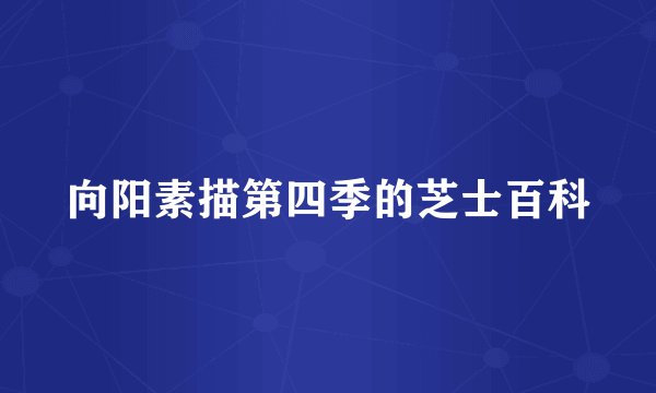 向阳素描第四季的芝士百科