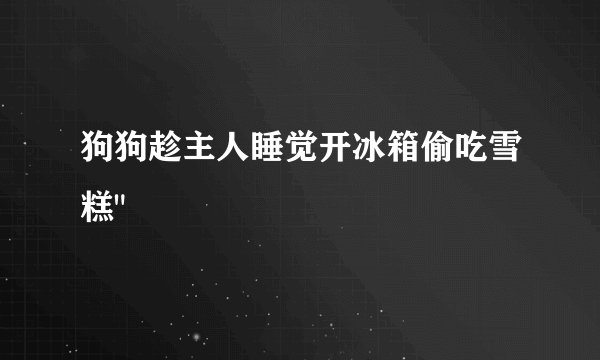 狗狗趁主人睡觉开冰箱偷吃雪糕