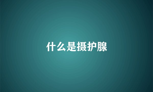 什么是摄护腺
