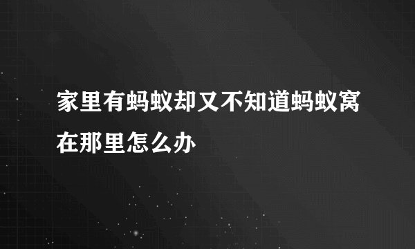 家里有蚂蚁却又不知道蚂蚁窝在那里怎么办