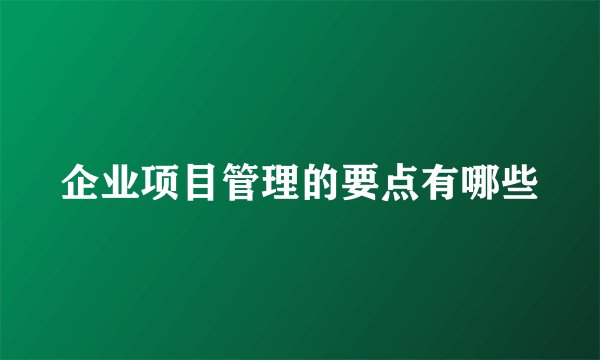 企业项目管理的要点有哪些