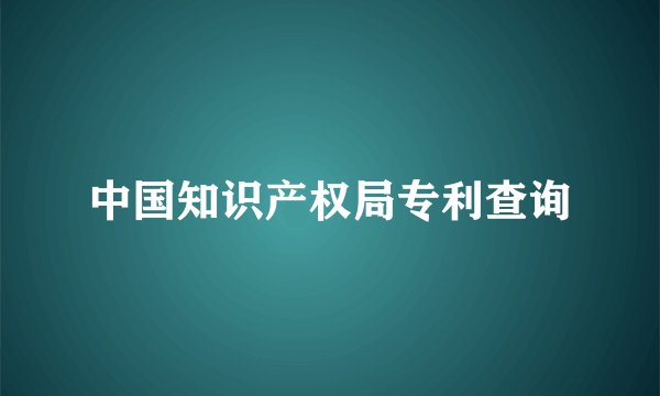 中国知识产权局专利查询