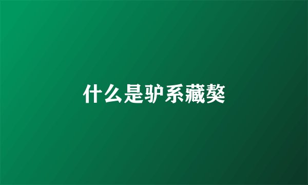 什么是驴系藏獒