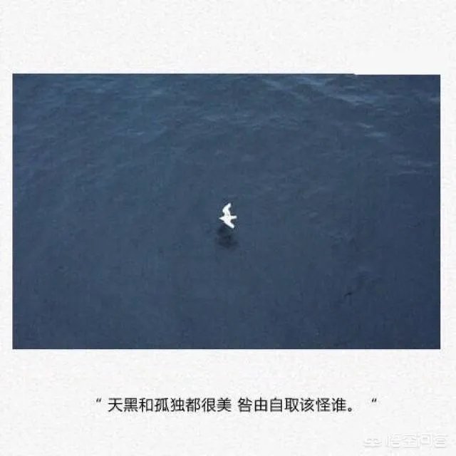 上联：孤月难熬星陪伴，如何对下联？