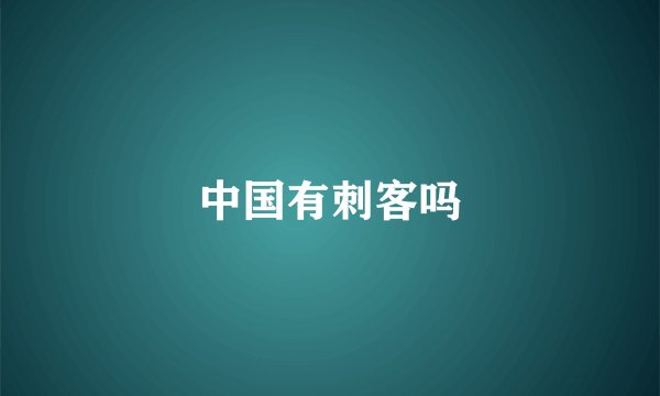 中国有刺客吗