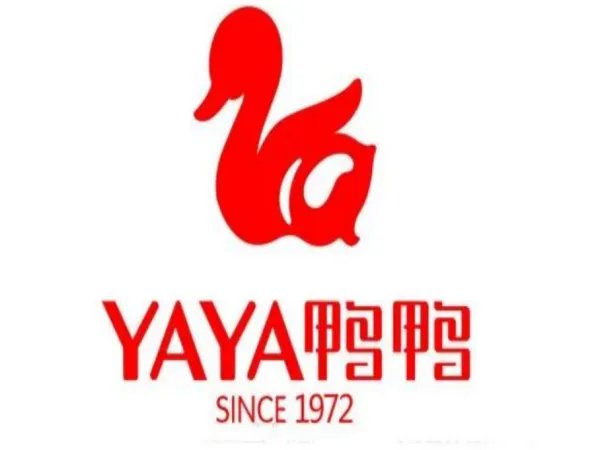 羽绒服的十大品牌有哪些