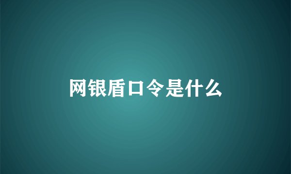网银盾口令是什么