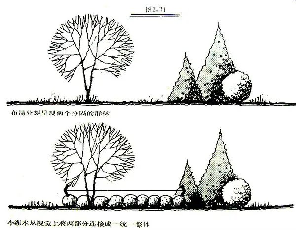 干货 | 庭院植物打造,营造十足空间感
