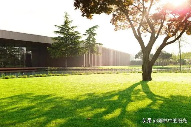在疫情面前,为什么中国要一省包一国去支援全球?