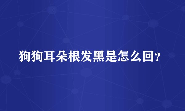 狗狗耳朵根发黑是怎么回？