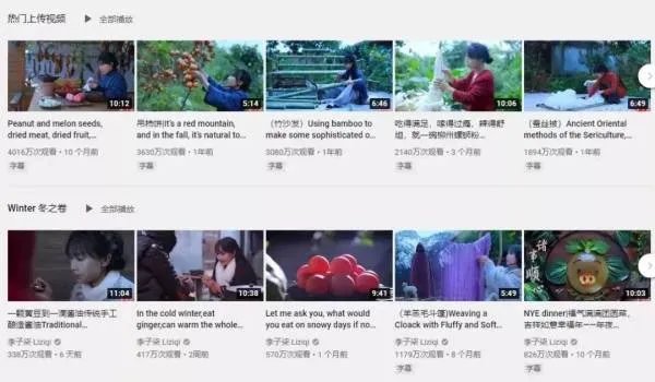 坐拥几千万粉丝的李子柒,被质疑的真实,到底长什么样?