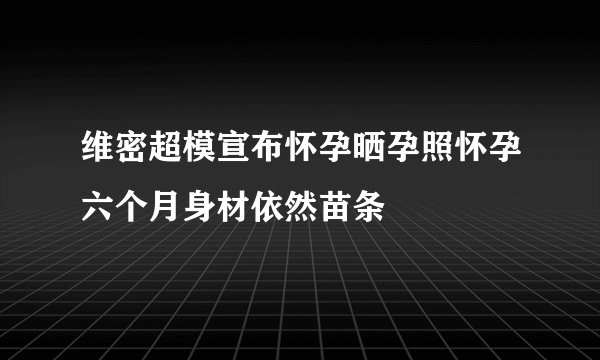 维密超模宣布怀孕晒孕照怀孕六个月身材依然苗条