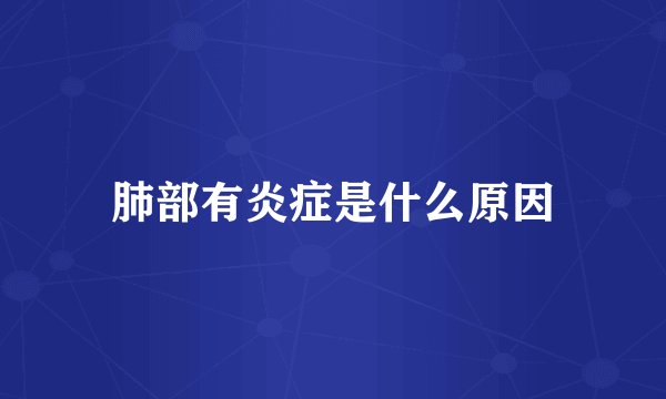 肺部有炎症是什么原因