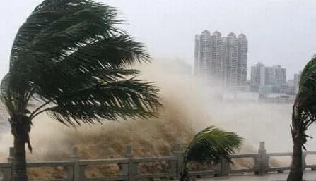 珠海又有台风红色预警吗?