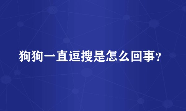 狗狗一直逗搜是怎么回事？