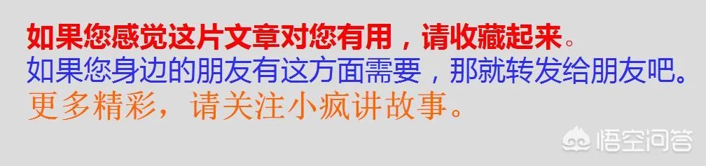 收养了一只流浪狗,有什么注意事项?