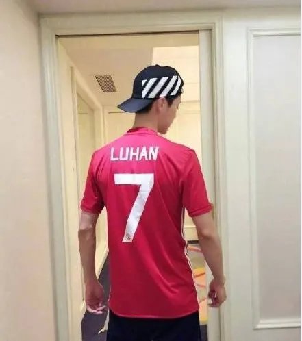 鹿晗说的下树了是指？