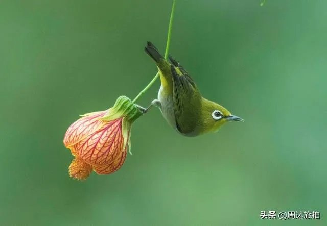 去广州旅游,有什么好去处值得推荐?