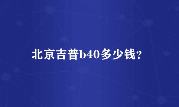 北京吉普b40多少钱？