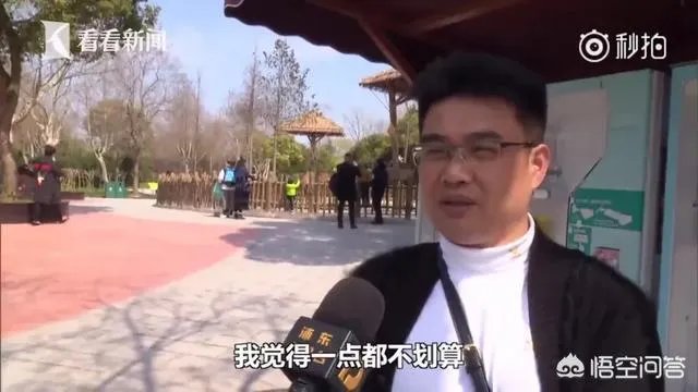 如何看待上海野生动物园逃票:一团伙收一百元让游客翻墙入园?