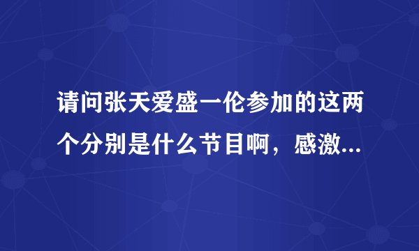 请问张天爱盛一伦参加的这两个分别是什么节目啊，感激，财富追加