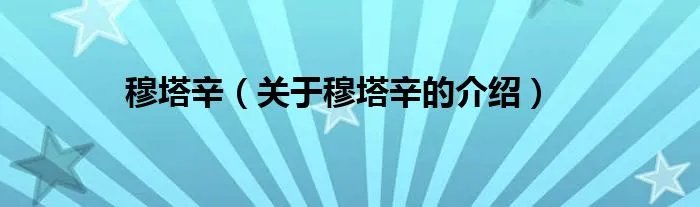 穆塔辛（关于穆塔辛的介绍）