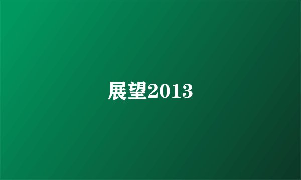 展望2013