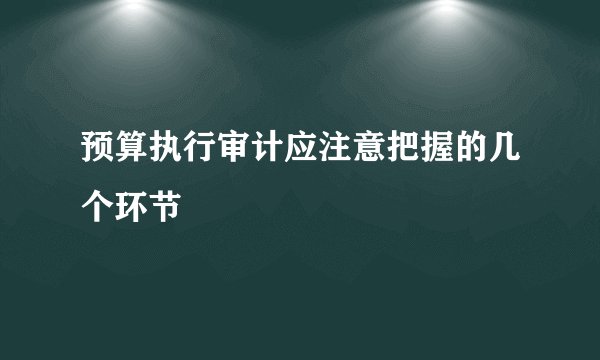 预算执行审计应注意把握的几个环节