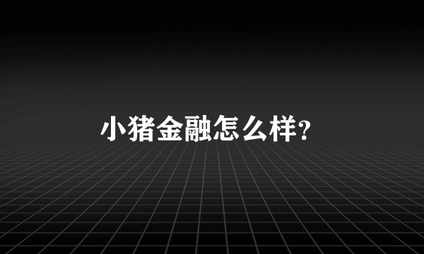 小猪金融怎么样？