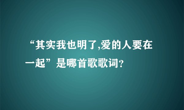 “其实我也明了,爱的人要在一起”是哪首歌歌词？