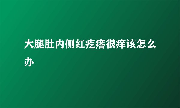 大腿肚内侧红疙瘩很痒该怎么办