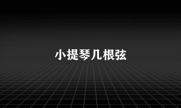 小提琴几根弦