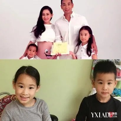 功夫巨星赵文卓豪宅曝光网友惊呼其家宅竟然如此之大引热议