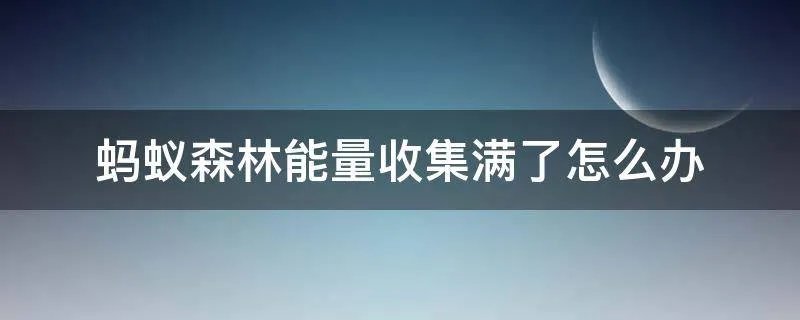 蚂蚁森林能量收集满了怎么办