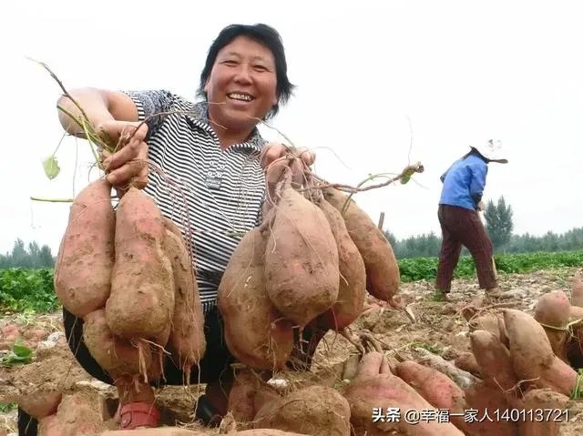如果我想弄种植业或者养殖业,什么比较有前景?