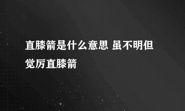 直膝箭是什么意思 虽不明但觉厉直膝箭
