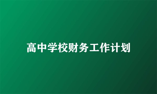 高中学校财务工作计划