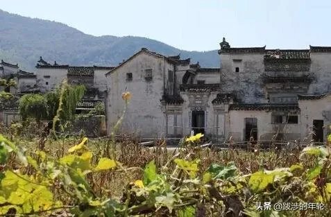 请问上海周边100公里左右自驾游有哪些景点推荐？